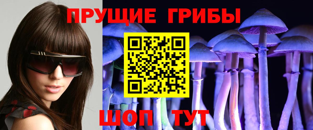 Галлюциногенные грибы MAGIC MUSHROOMS  Псилоцибиновые грибы ЛСД  Вход с VPN  Шебекино 